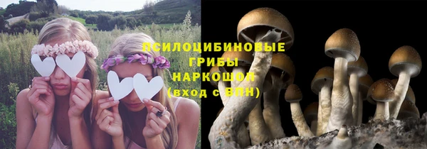 марки lsd Балахна