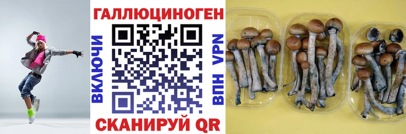 мега зеркало  Никольск  маркетплейс наркотические препараты  Псилоцибиновые грибы прущие грибы 