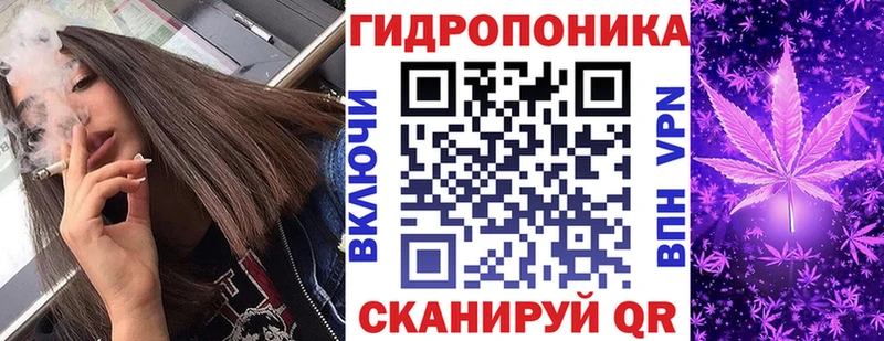 кракен вход  дарнет шоп  Никольск  Бошки марихуана индика 